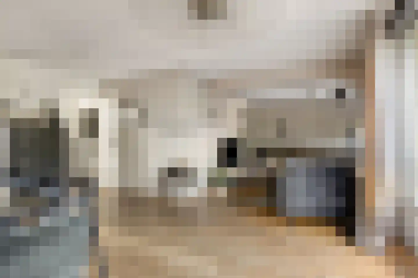 Nervalaan 8 Beuningen Gld thumbnail 6
