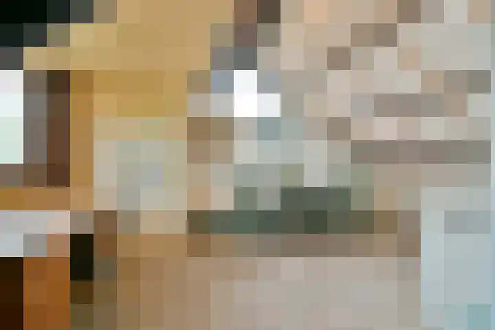 Nes 1 Vijfhuizen thumbnail 38