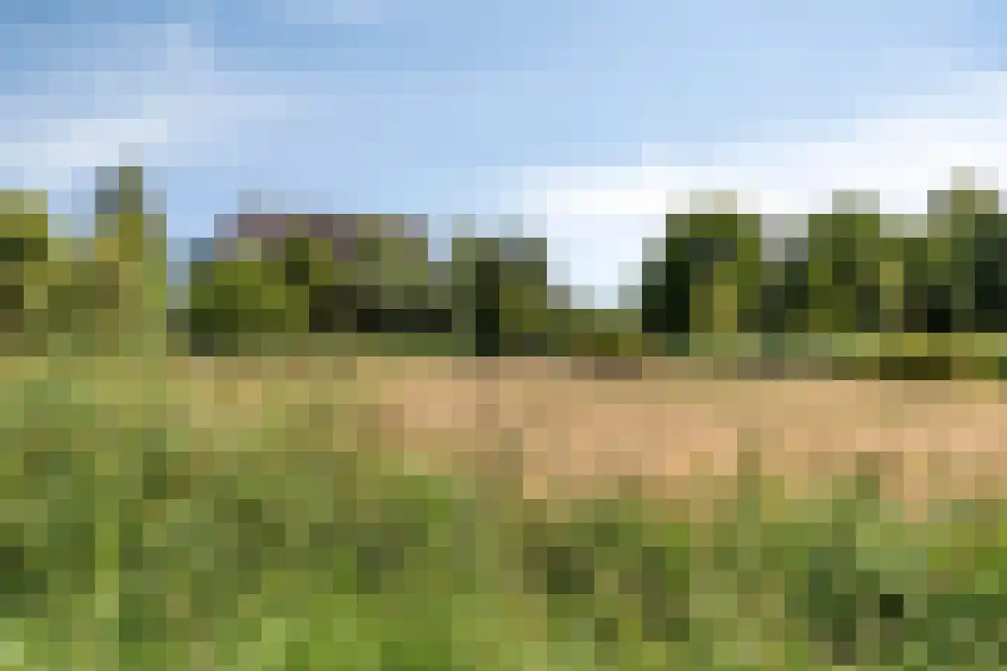 Nes 105 Pijnacker thumbnail 36