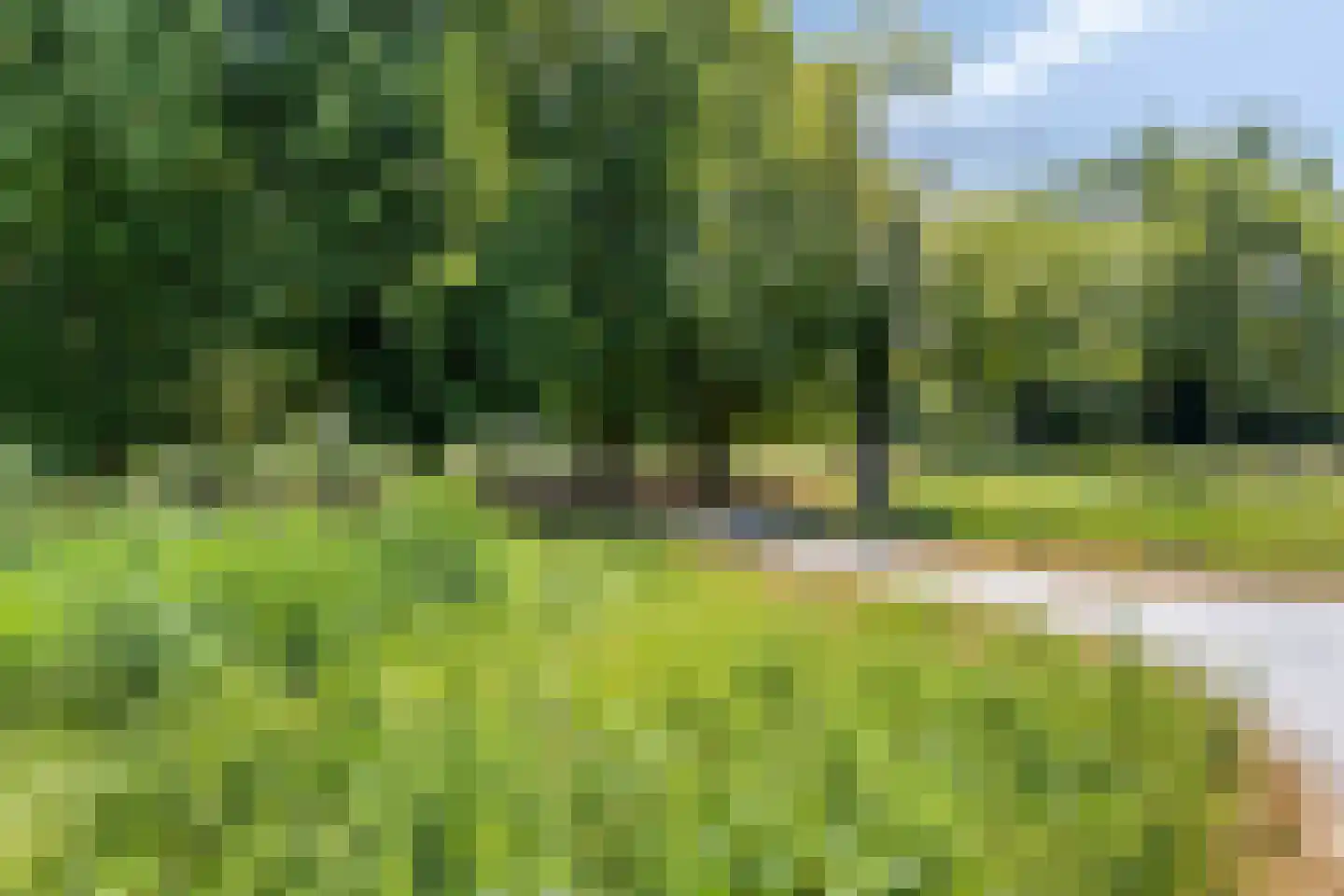 Nes 105 Pijnacker thumbnail 37