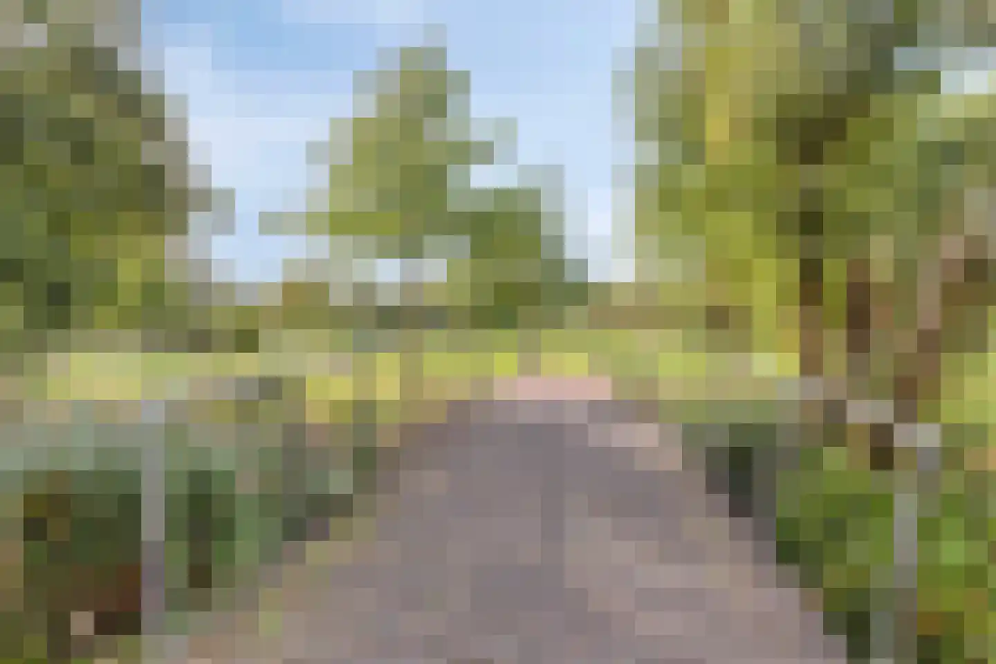 Nes 109 Pijnacker thumbnail 29