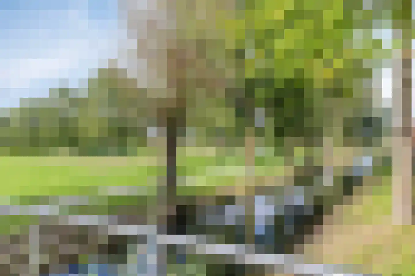 Nes 109 Pijnacker thumbnail 31