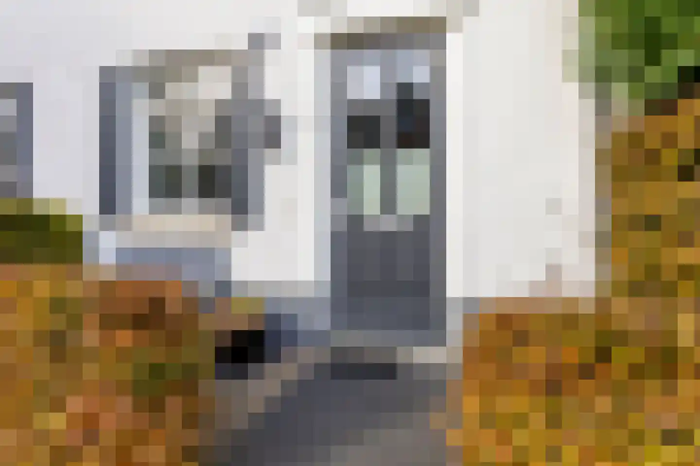 Nes 109 Pijnacker thumbnail 7