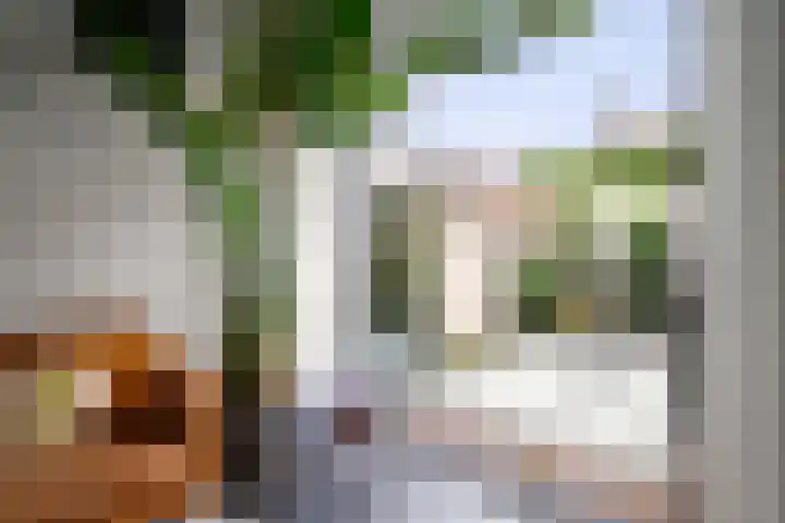 Nes 12 Schoonhoven thumbnail 13