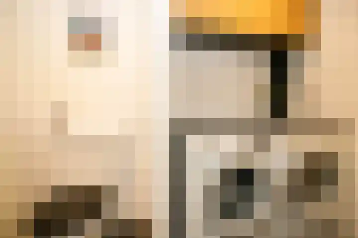 Nes 12 Schoonhoven thumbnail 18