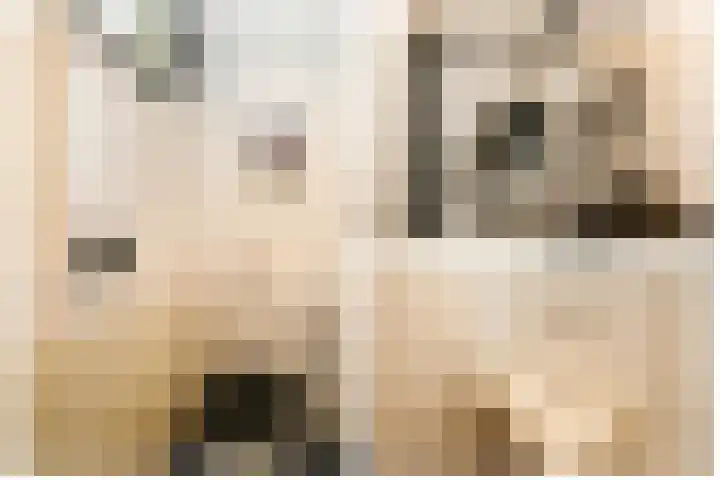 Nes 12 Schoonhoven thumbnail 19