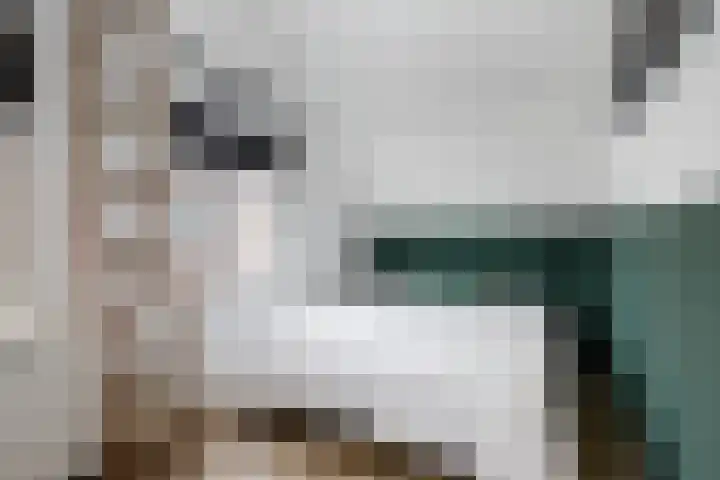 Nes 12 Schoonhoven thumbnail 22