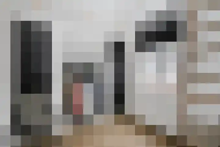 Nes 12 Schoonhoven thumbnail 23