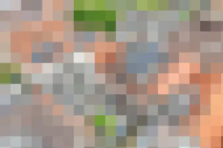 Nes 12 Schoonhoven thumbnail 30