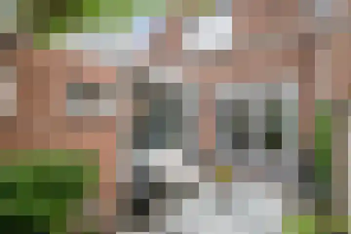 Nes 12 Schoonhoven thumbnail 32