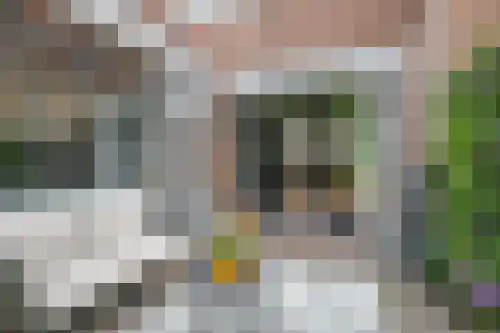 Nes 12 Schoonhoven thumbnail 33