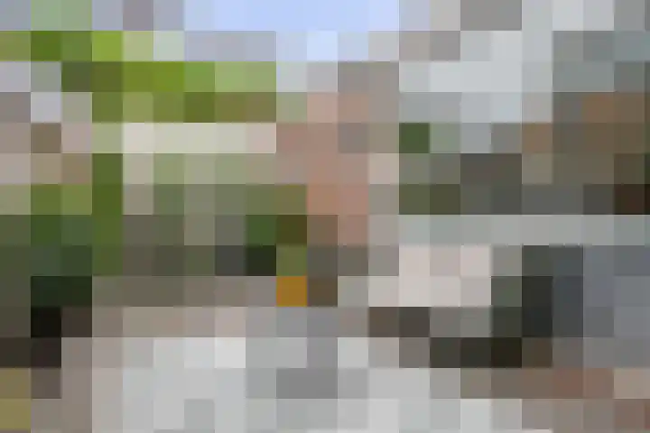 Nes 12 Schoonhoven thumbnail 34