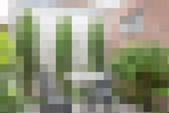 Nes 12 Schoonhoven thumbnail 35