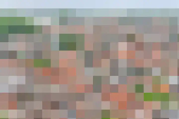 Nes 12 Schoonhoven thumbnail 37
