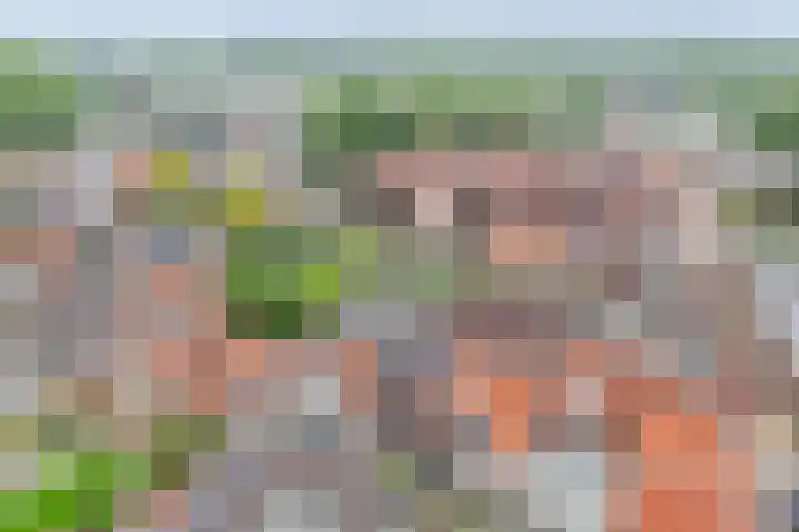 Nes 12 Schoonhoven thumbnail 38
