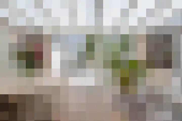 Nes 13 Vijfhuizen thumbnail 15