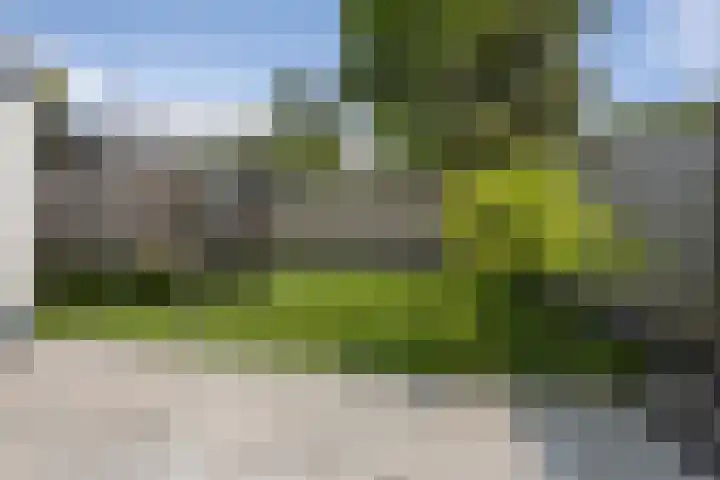 Nes 13 Vijfhuizen thumbnail 22