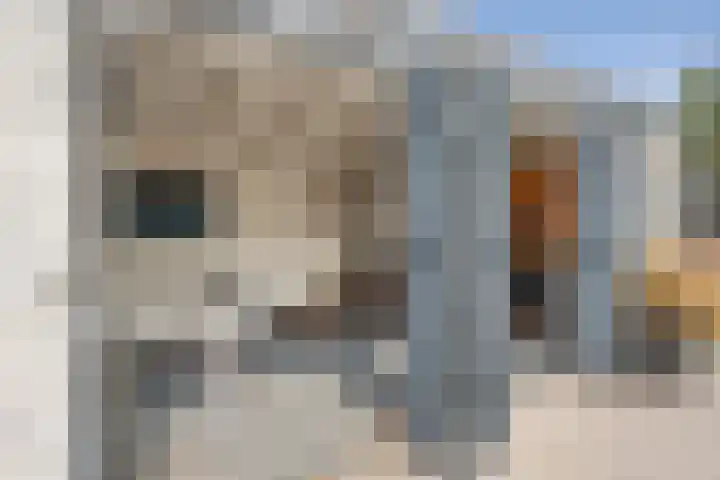 Nes 13 Vijfhuizen thumbnail 25