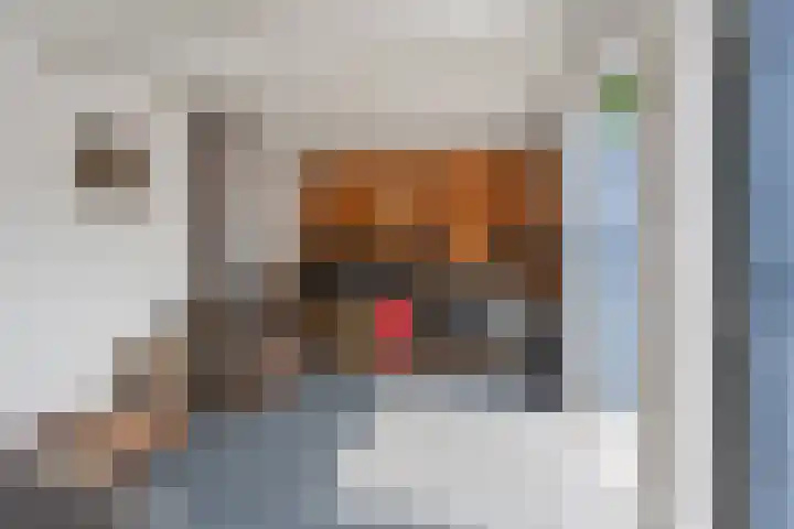 Nes 13 Vijfhuizen thumbnail 26