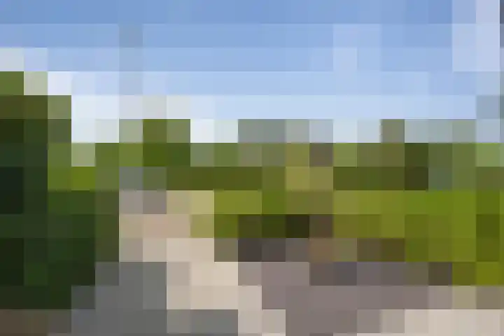 Nes 13 Vijfhuizen thumbnail 54