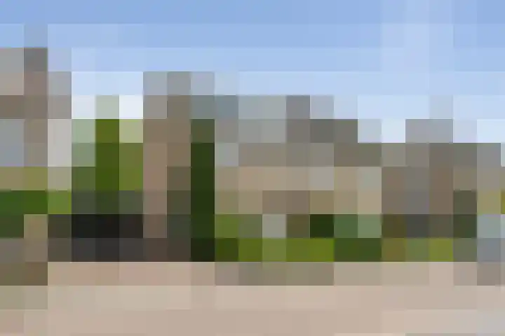 Nes 13 Vijfhuizen thumbnail 60