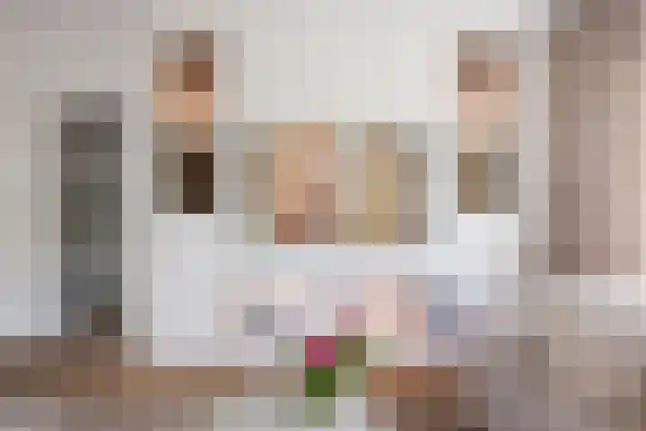 Nes 13 Vijfhuizen thumbnail 8