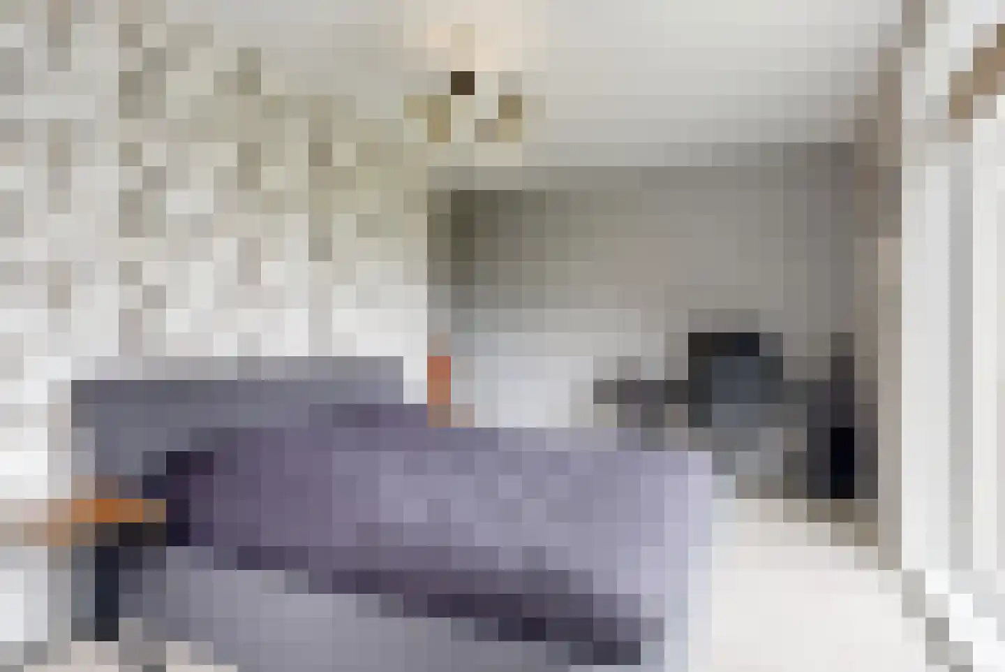 Nes 140 Wervershoof thumbnail 17