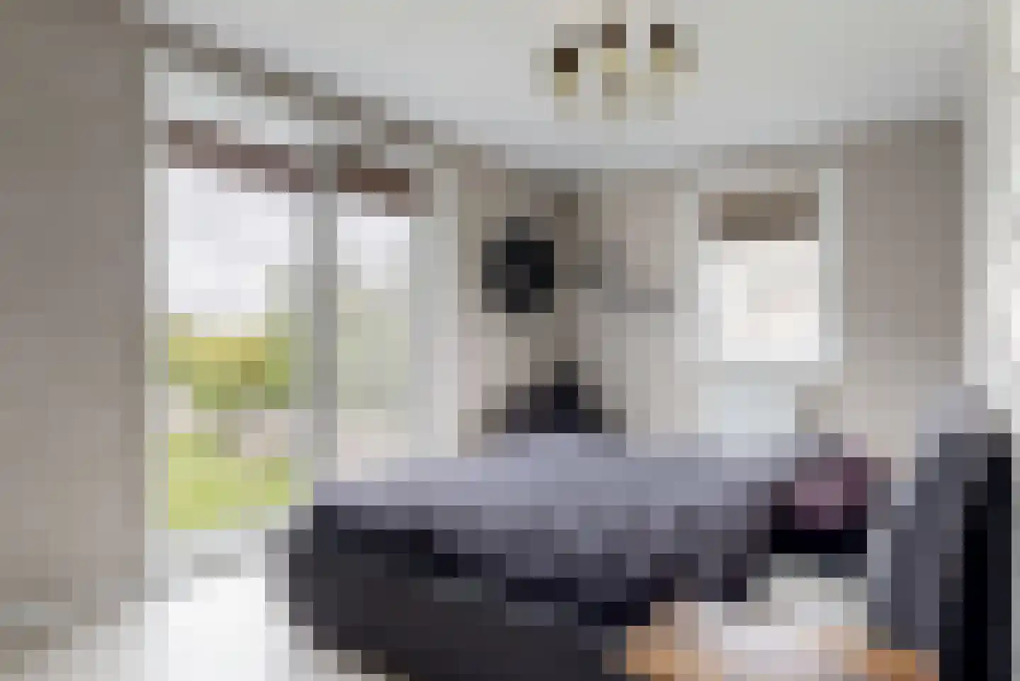 Nes 140 Wervershoof thumbnail 18