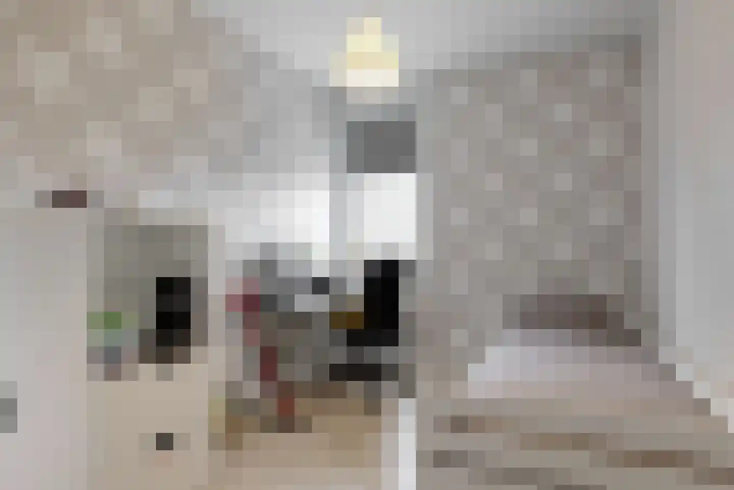 Nes 140 Wervershoof thumbnail 22