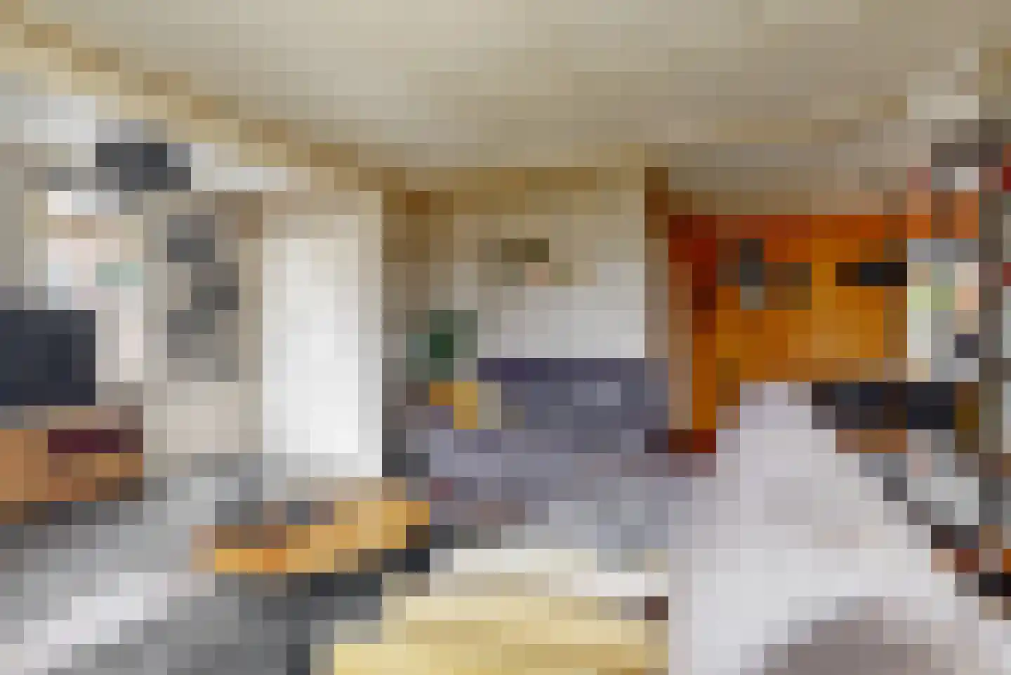 Nes 140 Wervershoof thumbnail 33
