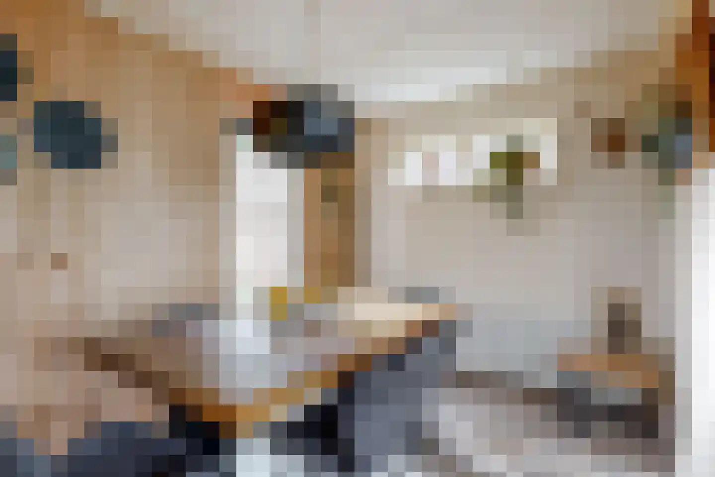 Nes 140 Wervershoof thumbnail 37