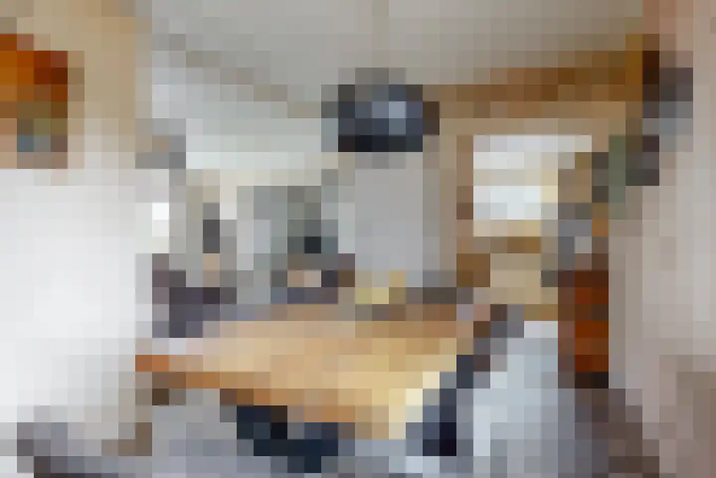 Nes 140 Wervershoof thumbnail 38