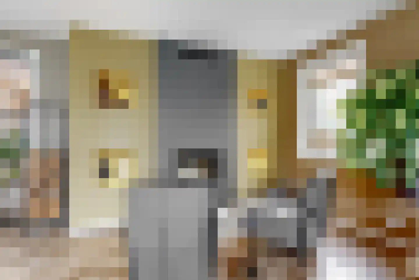 Nes 140 Wervershoof thumbnail 7