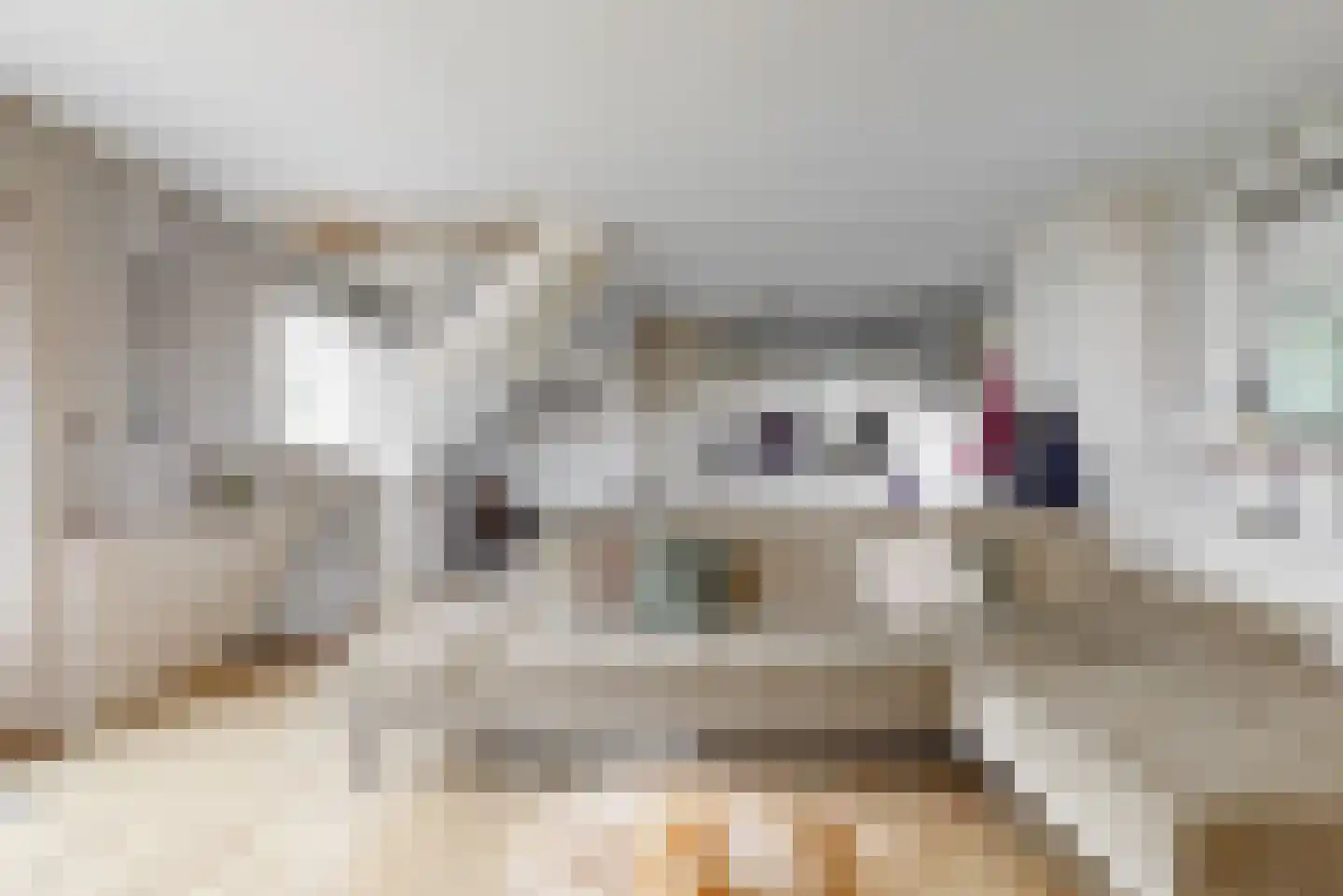 Nes 194 Wervershoof thumbnail 36