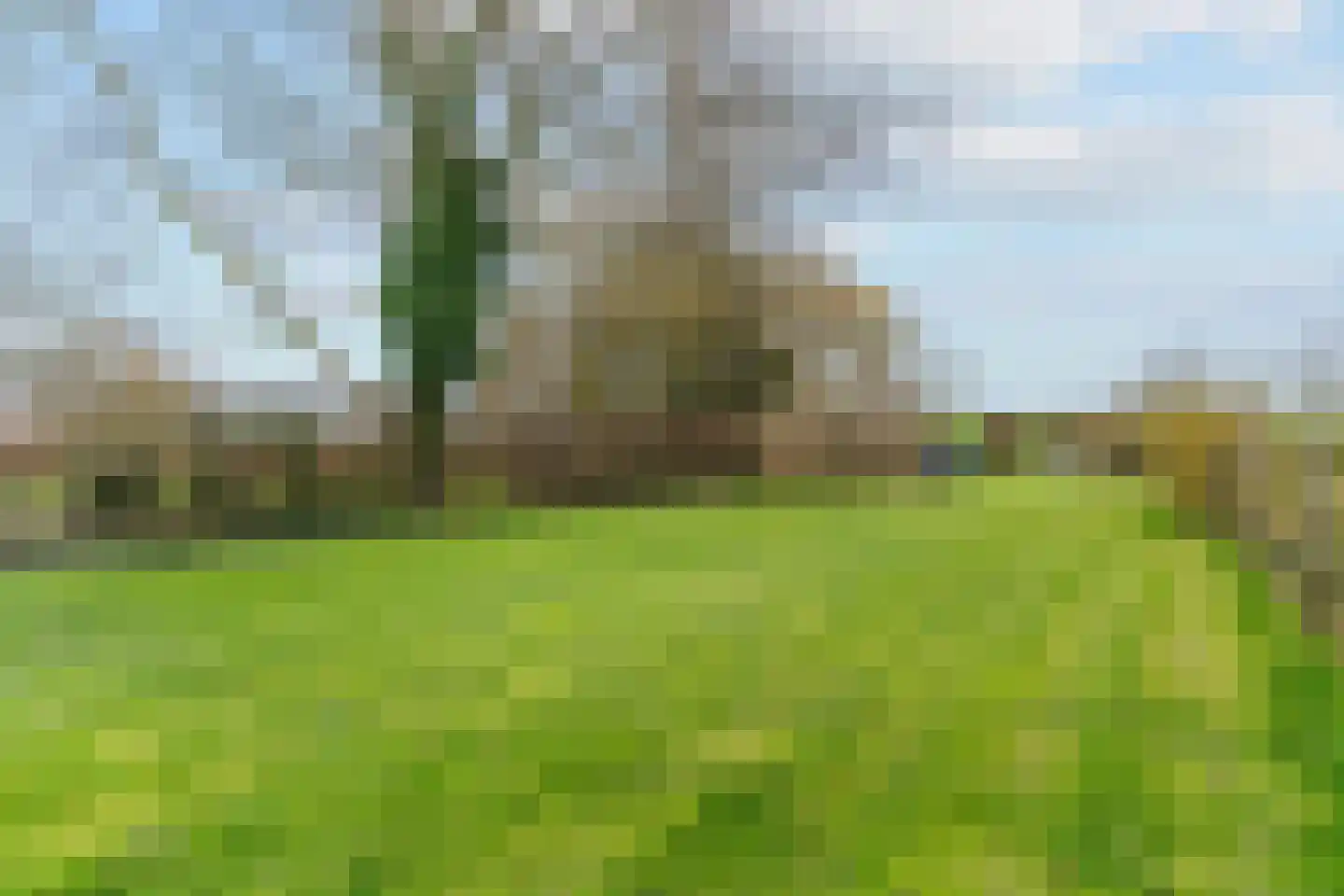 Nes 194 Wervershoof thumbnail 4