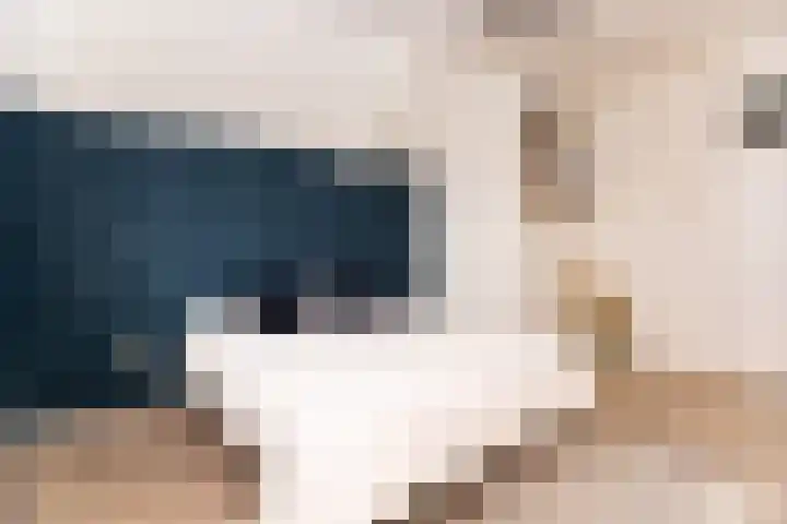 Nes 214 A Wervershoof thumbnail 20