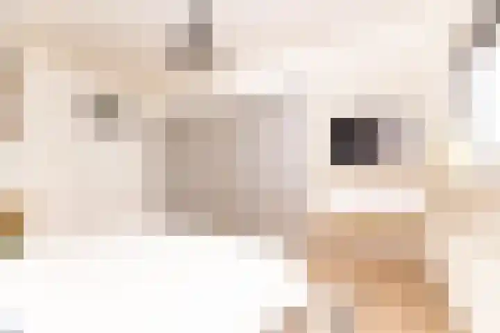 Nes 214 A Wervershoof thumbnail 21