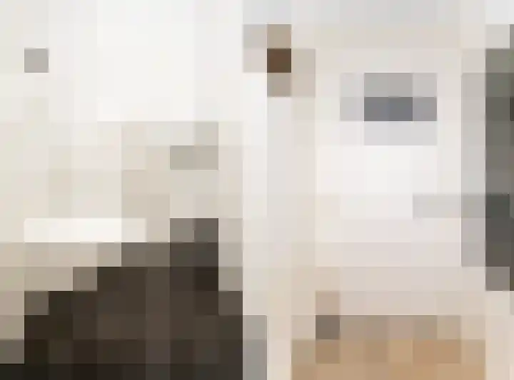 Nes 214 A Wervershoof thumbnail 6