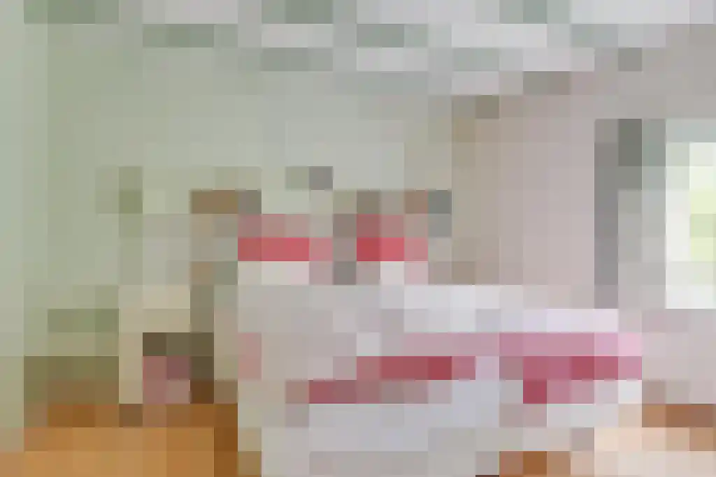 Nes 24 Schagen thumbnail 17