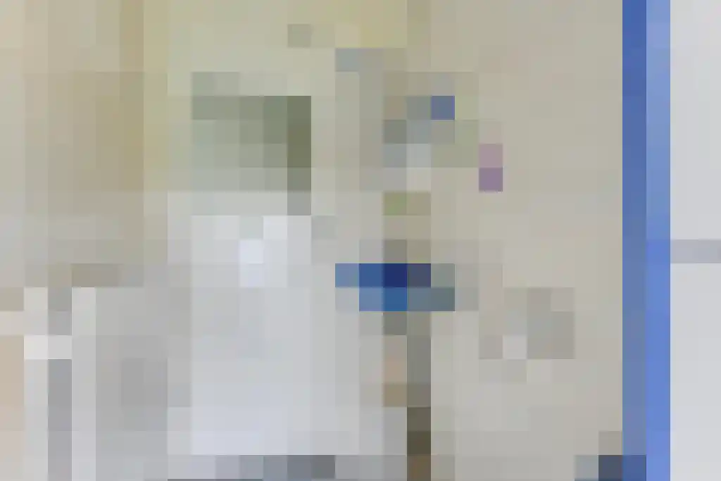 Nes 24 Schagen thumbnail 23