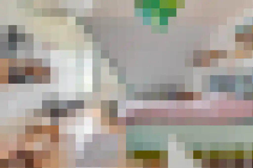 Nes 24 Schagen thumbnail 25