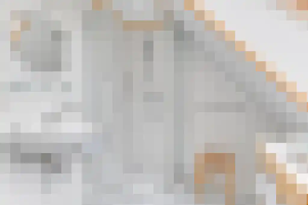 Nes 24 Schagen thumbnail 30