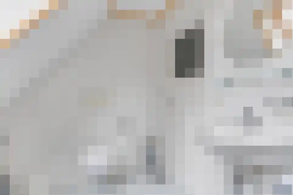 Nes 24 Schagen thumbnail 31