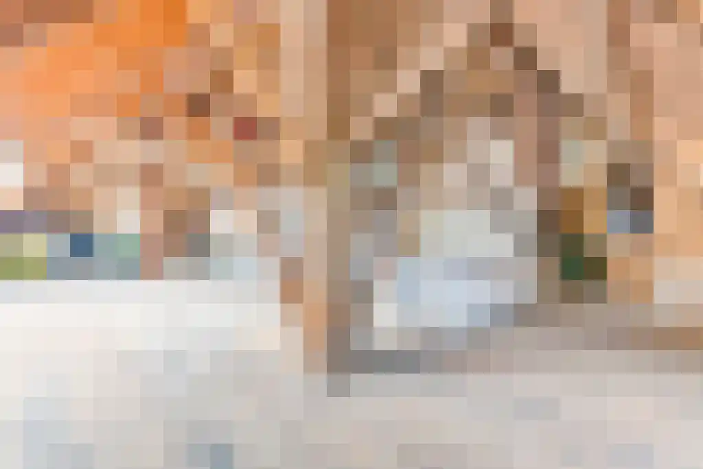 Nes 24 Schagen thumbnail 32