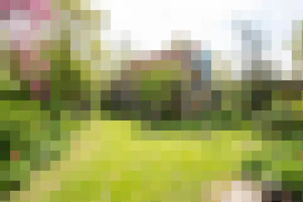 Nes 24 Schagen thumbnail 42