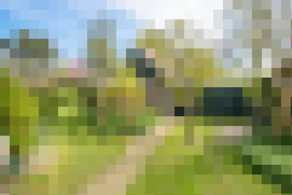 Nes 24 Schagen thumbnail 43
