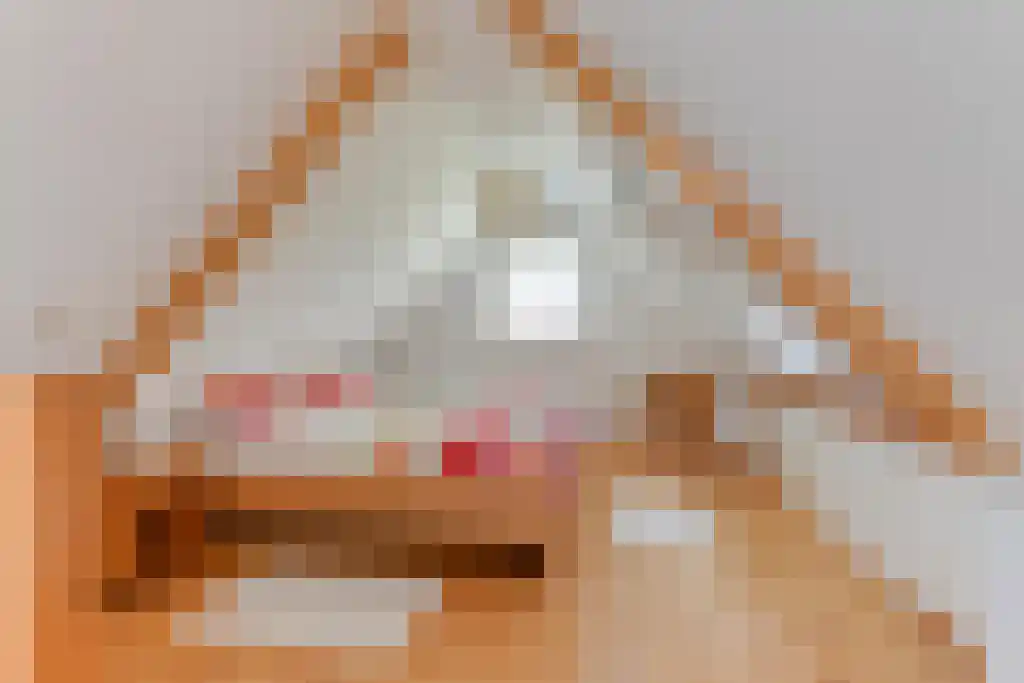 Nes 24 Schagen thumbnail 54