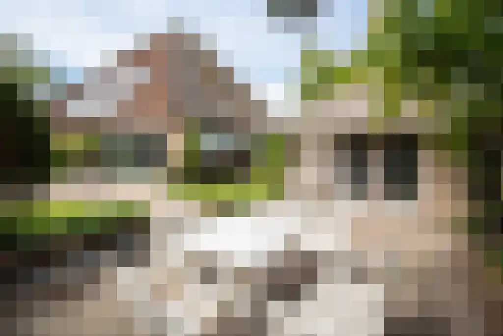 Nes 24 Schagen thumbnail 58