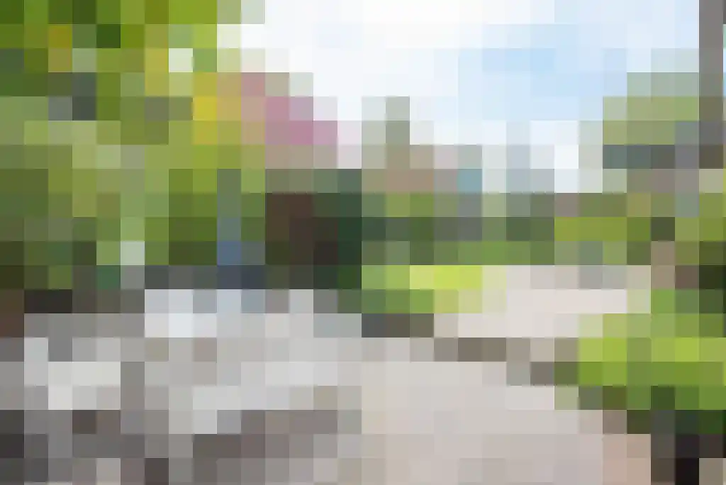Nes 24 Schagen thumbnail 59