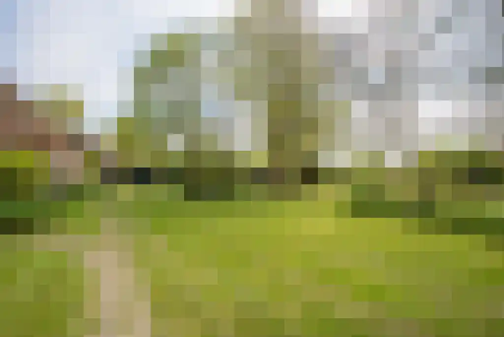 Nes 24 Schagen thumbnail 61